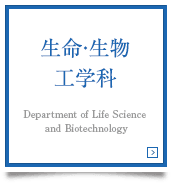 生命・生物工学科　Department of Life Science and Biotechnology