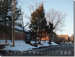 ウェブスター大学