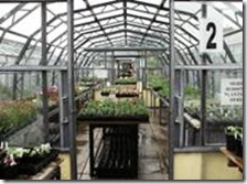 Brunswick Organic Nursery 