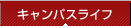 �L�����p�X���C�t