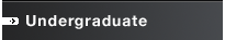 Undergraduate