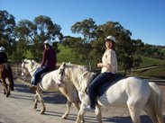 Adelaide_0027.JPG