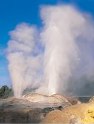 waikato4.jpg