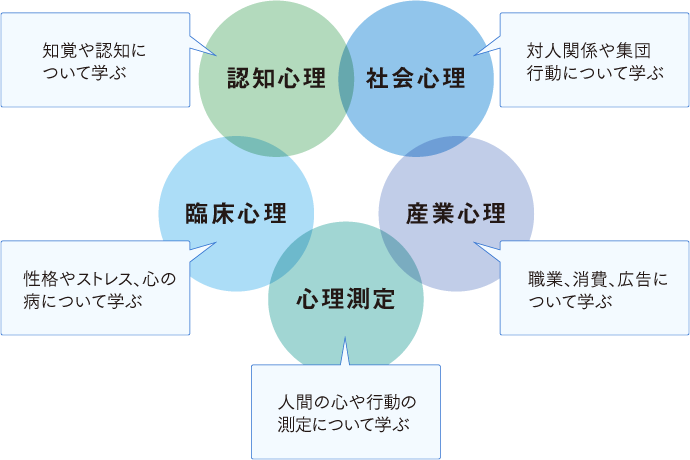 認知心理 社会心理 臨床心理 産業心理 心理測定