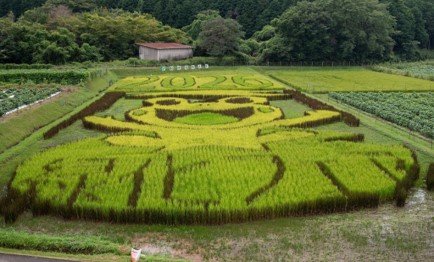 画像7.jpg