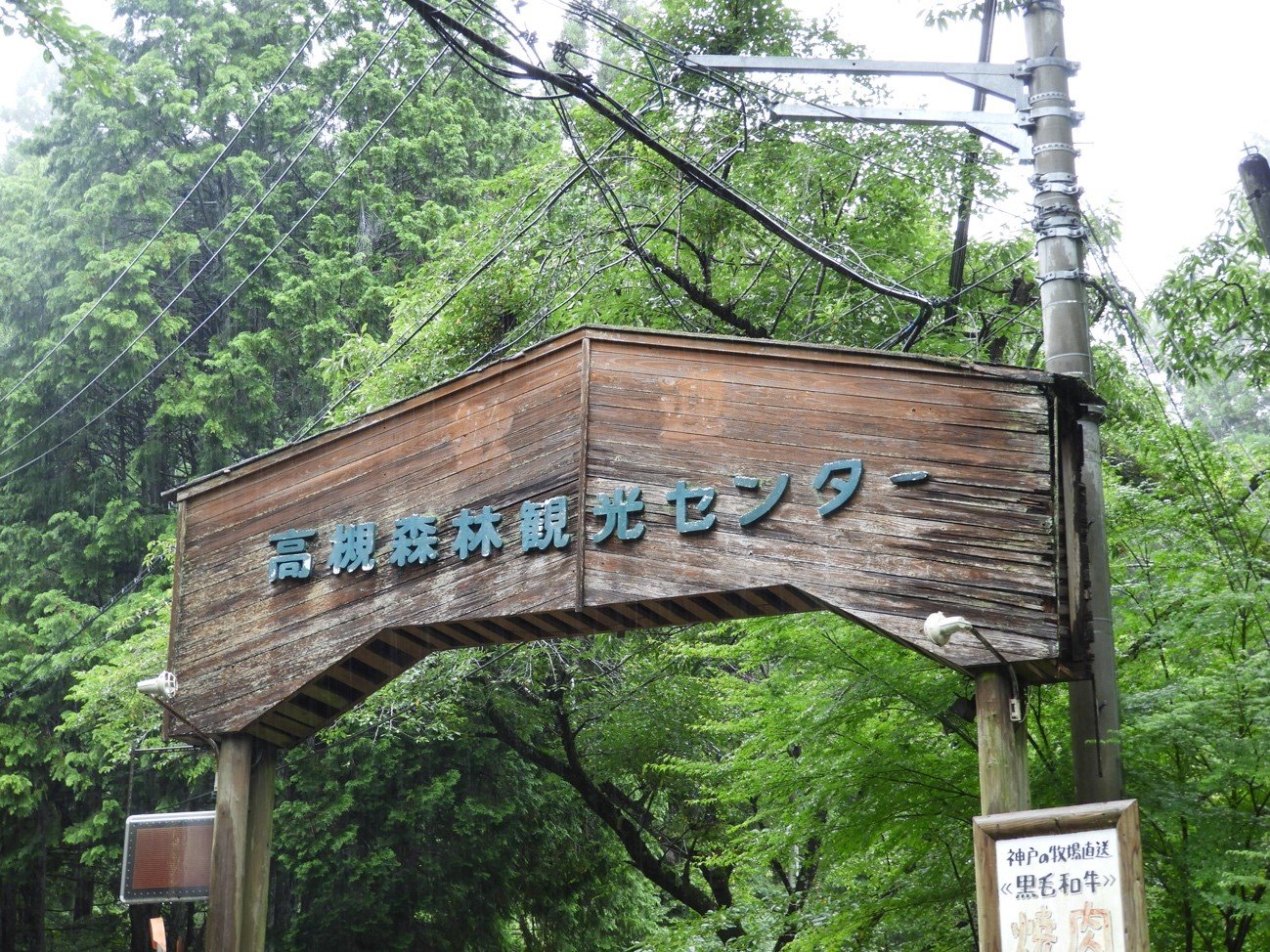 画像1.jpg