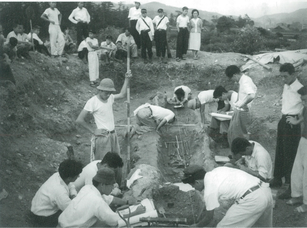 古市古墳群盾塚古墳の発掘調査（1955（昭和30）年）