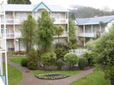 NZ080718-01.jpg
