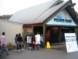 NZ080718-06.jpg