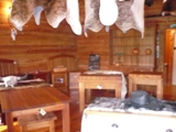 NZ080719-07.jpg