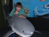NZ080719-10.jpg
