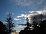 NZ080720-05.jpg