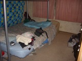 NZ080720-08.jpg
