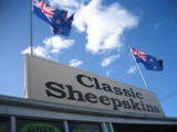 NZ080721-08.jpg