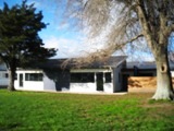 NZ080722-06.jpg