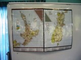 NZ080723-03.jpg