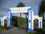 NZ080725-01.jpg