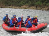 NZ080729-10.jpg