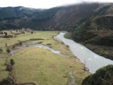 NZ080729-13.jpg