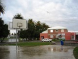 NZ080730-01.jpg