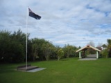 NZ080731-01.jpg