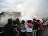 NZ080803-02.jpg