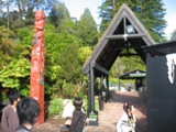 NZ080803-04.jpg
