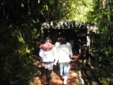 NZ080803-05.jpg