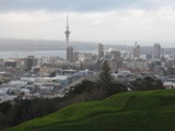 NZ080803-10.jpg