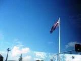 NZ080804-01.jpg
