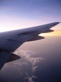 NZ080805-01.jpg