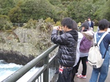 NZ20100717-1.JPG