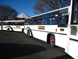 NZ20100723-10.JPG