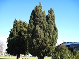 NZ20100724-1.JPG