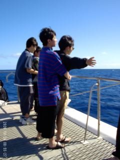 20260824_0855_0528_320.jpg