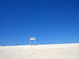 20260824_1050_0571_320.jpg