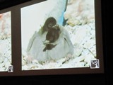 120126j_nankyoku02.JPG