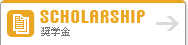 scholarship 奨学金