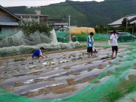 20140728hikigawa7.jpg