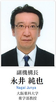 副機構長 永井純也 大阪薬科大学　薬学部教授