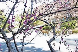 Spring approaches on Campus