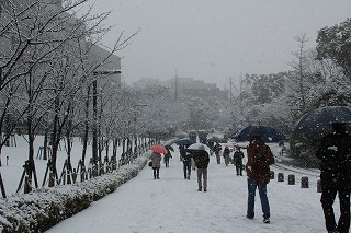 千里山キャンパスに積雪