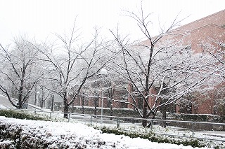 千里山キャンパスに積雪