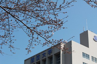 千里山キャンパスの桜