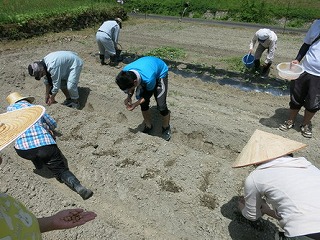 関西大学佐治スタジオ主催「棚田88物語Project」