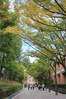 秋のキャンパス