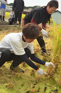 農作体験から学ぶ地域の営み