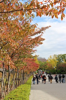 紅葉の季節