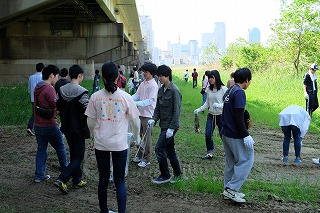 淀川掃除ボランティア