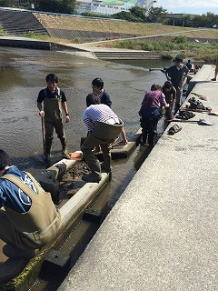 アユの産卵場を整備しよう！